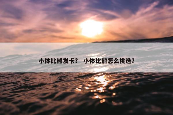 小体比熊发卡？ 小体比熊怎么挑选？