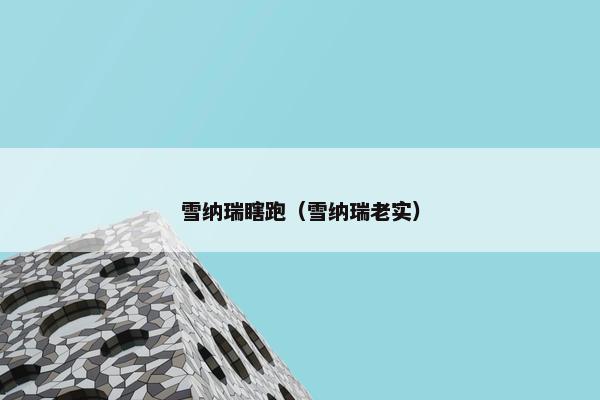 雪纳瑞瞎跑（雪纳瑞老实）