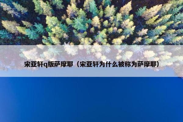 宋亚轩q版萨摩耶（宋亚轩为什么被称为萨摩耶）