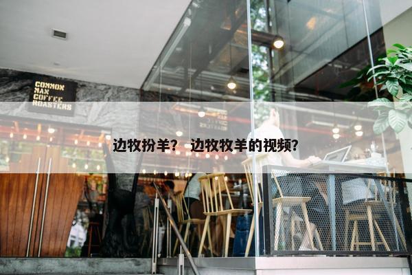 边牧扮羊？ 边牧牧羊的视频？