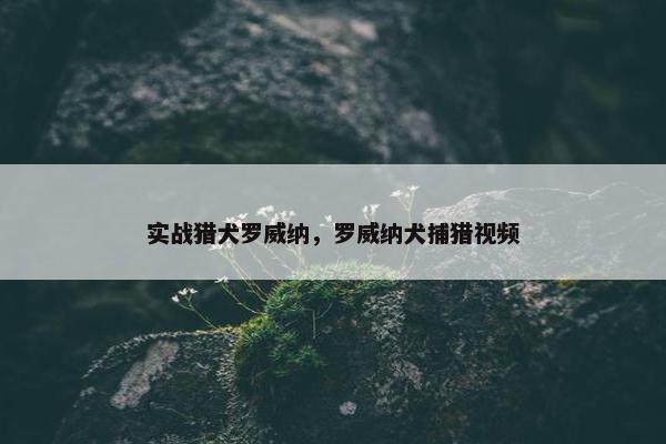 实战猎犬罗威纳，罗威纳犬捕猎视频