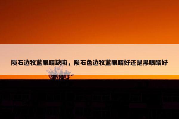 陨石边牧蓝眼睛缺陷，陨石色边牧蓝眼睛好还是黑眼睛好