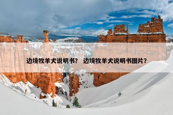 边境牧羊犬说明书？ 边境牧羊犬说明书图片？