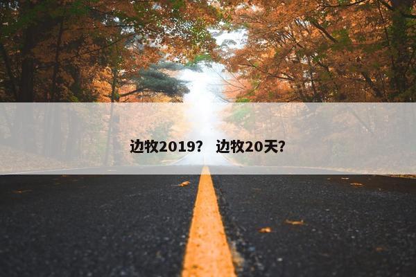 边牧2019？ 边牧20天？