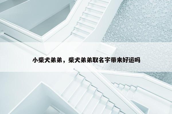 小柴犬弟弟，柴犬弟弟取名字带来好运吗