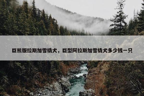 巨熊版拉斯加雪橇犬，巨型阿拉斯加雪橇犬多少钱一只
