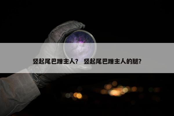 竖起
