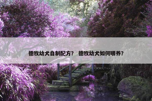 德牧幼犬自制配方？ 德牧幼犬如何喂养？