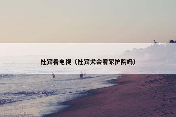 杜宾看电视（杜宾犬会看家护院吗）