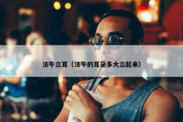 法牛立耳（法牛的耳朵多大立起来）