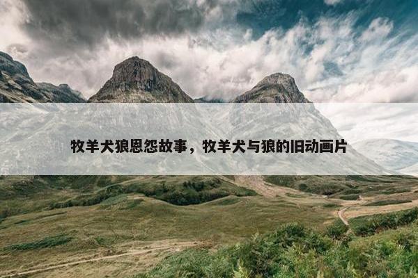 牧羊犬狼恩怨故事，牧羊犬与狼的旧动画片