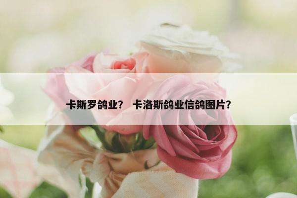 卡斯罗鸽业？ 卡洛斯鸽业信鸽图片？