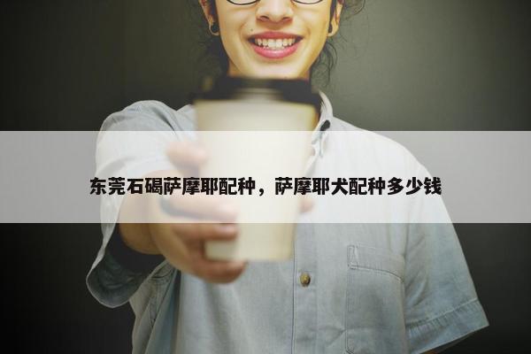 东莞石碣萨摩耶配种，萨摩耶犬配种多少钱