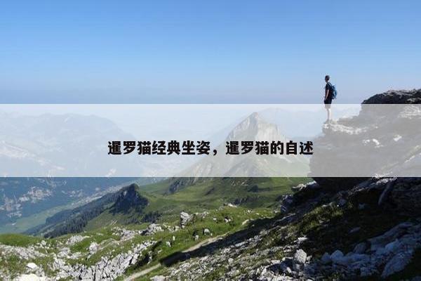 暹罗猫经典坐姿，暹罗猫的自述
