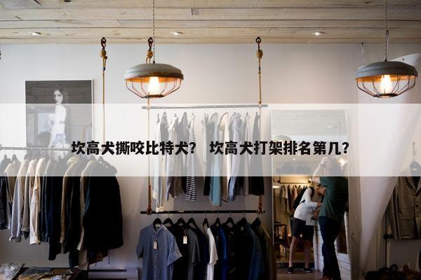 坎高犬撕咬比特犬？ 坎高犬打架排名第几？