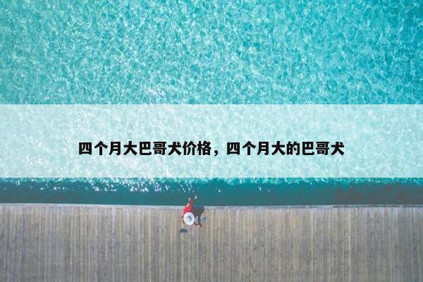 四个月大巴哥犬价格，四个月大的巴哥犬