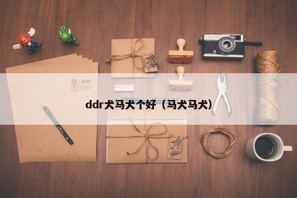 ddr犬马犬个好（马犬马犬）