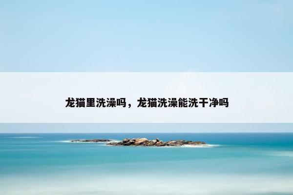 龙猫里洗澡吗，龙猫洗澡能洗干净吗