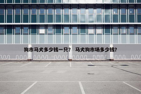狗市马犬多少钱一只？ 马犬狗市场多少钱？