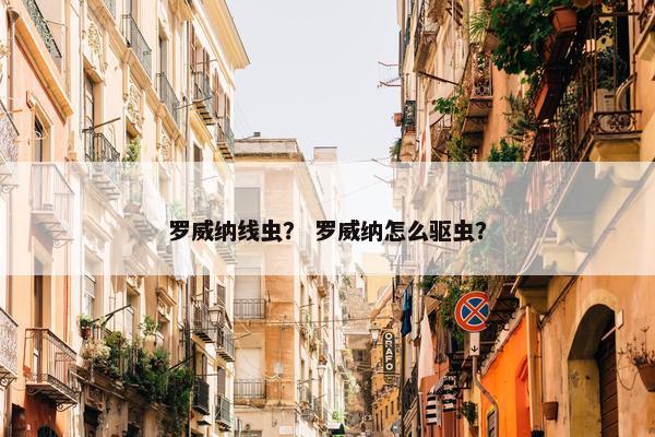 罗威纳线虫？ 罗威纳怎么驱虫？