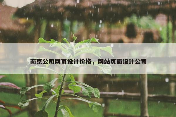 南京公司网页设计价格，网站页面设计公司