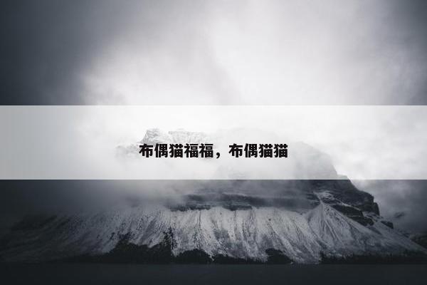 布偶猫福福，布偶猫猫
