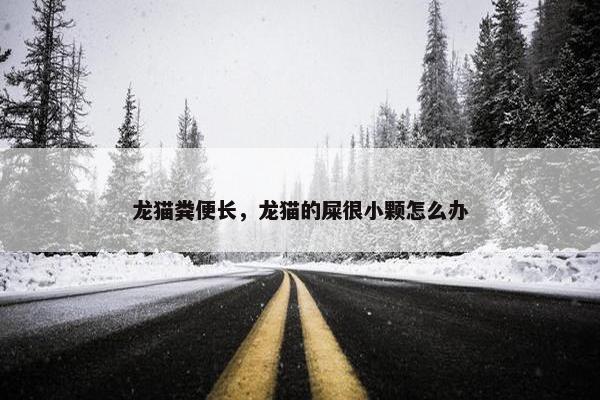 龙猫粪便长，龙猫的屎很小颗怎么办