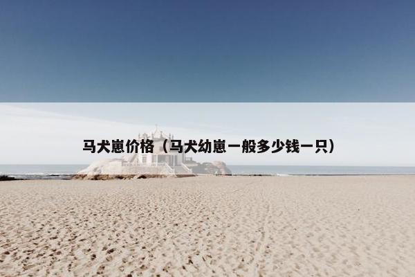 马犬崽价格（马犬幼崽一般多少钱一只）