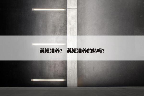 英短猫养？ 英短猫养的熟吗？