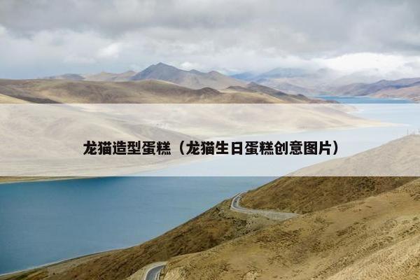 龙猫造型蛋糕（龙猫生日蛋糕创意图片）
