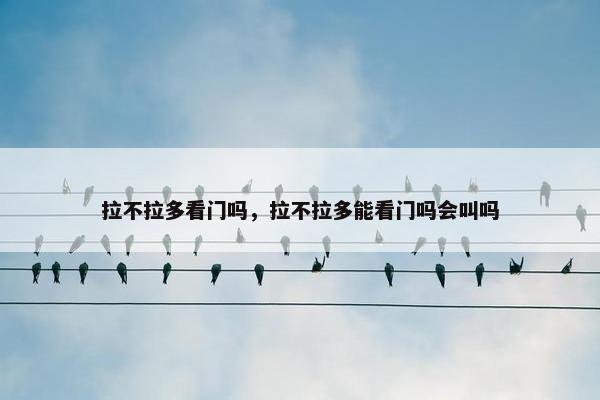 拉不拉多看门吗，拉不拉多能看门吗会叫吗