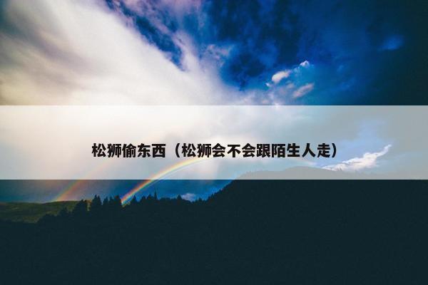 松狮偷东西（松狮会不会跟陌生人走）