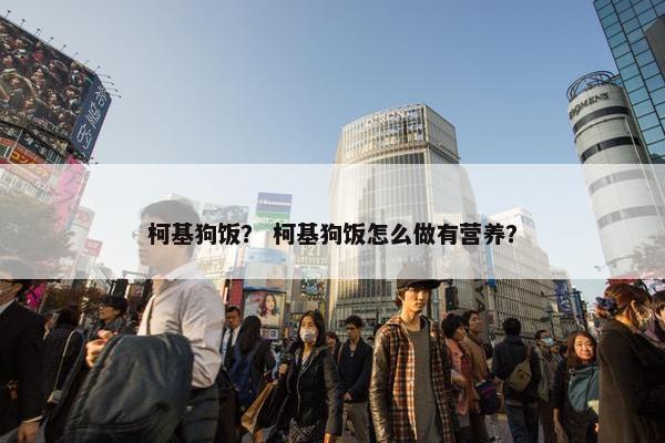 柯基狗饭？ 柯基狗饭怎么做有营养？