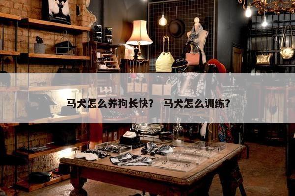 马犬怎么养狗长快？ 马犬怎么训练？