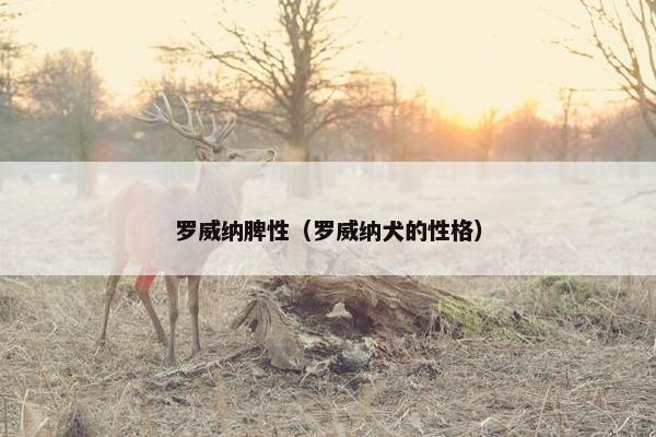 罗威纳脾性（罗威纳犬的性格）