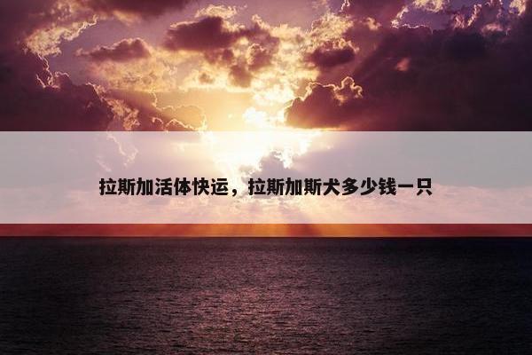 拉斯加活体快运，拉斯加斯犬多少钱一只