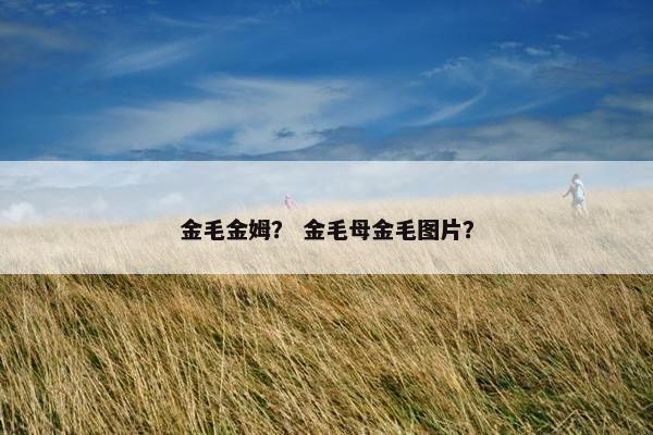 金毛金姆？ 金毛母金毛图片？