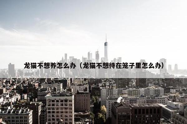 龙猫不想养怎么办（龙猫不想待在笼子里怎么办）