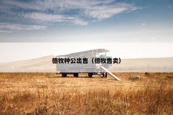 德牧种公出售（德牧售卖）