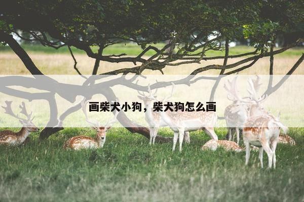 画柴犬小狗，柴犬狗怎么画