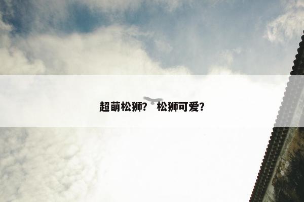 超萌松狮？ 松狮可爱？