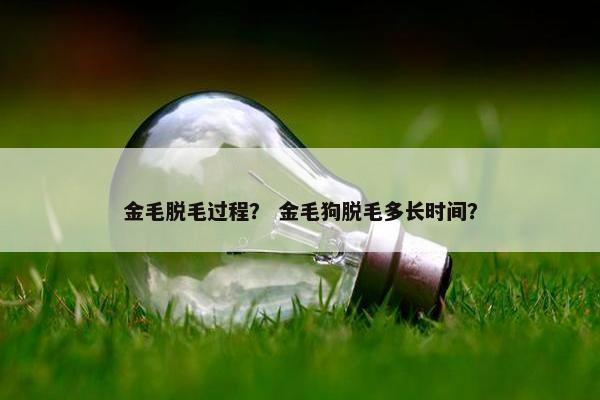 金毛脱毛过程？ 金毛狗脱毛多长时间？