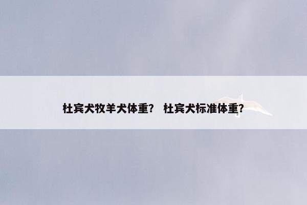 杜宾犬牧羊犬体重？ 杜宾犬标准体重？
