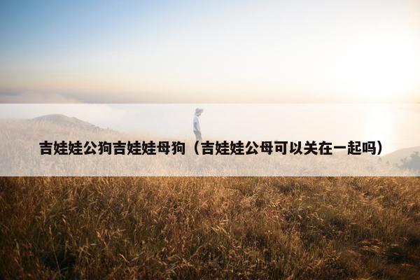 吉娃娃公狗吉娃娃母狗（吉娃娃公母可以关在一起吗）