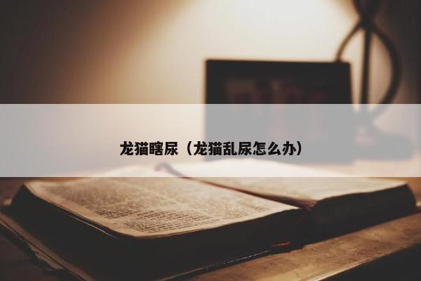 龙猫瞎尿（龙猫乱尿怎么办）