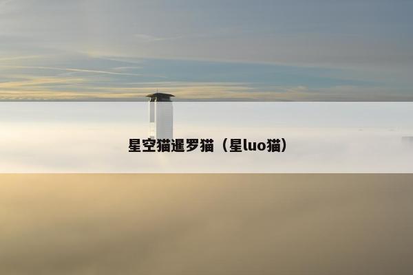 星空猫暹罗猫（星luo猫）