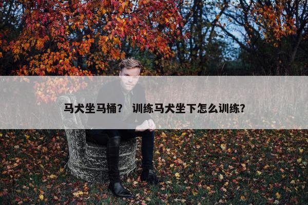 马犬坐马桶？ 训练马犬坐下怎么训练？