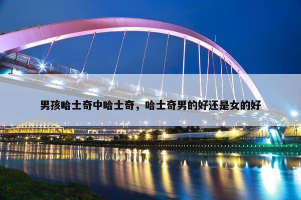 男孩哈士奇中哈士奇，哈士奇男的好还是女的好