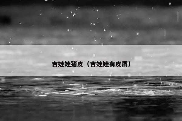 吉娃娃猪皮（吉娃娃有皮屑）