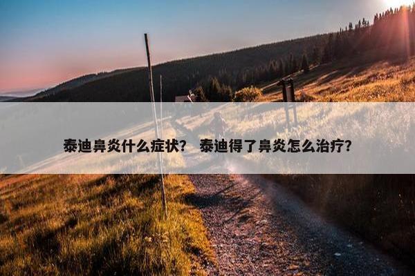 泰迪鼻炎什么症状？ 泰迪得了鼻炎怎么治疗？